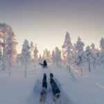 Trailblazing Tales: Stories from the Explorer’s Trail