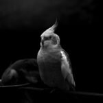 Stories from the Road Less Traveled