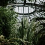 Tales from the Open Road