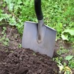 Best Techniques for Using a Garden Hoe: Expert Tips for Success