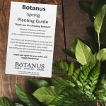 Guide to Planting Bulbs Evenly in Garden Beds: Expert Tips