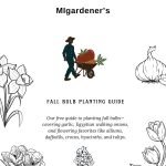 Guide to Planting Bulbs for Fall Bloom: Expert Tips for Success