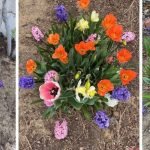 Guide to Planting Bulbs in Spring: Expert Tips for Vibrant Blooms