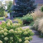 Guide to Planting Shrubs for Beginners: Easy Steps for Success