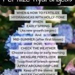 Guide to Transplanting Flowers Successfully: Expert Tips & Tricks