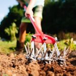Guide to Using a Garden Cultivator: Essential Tips for Success