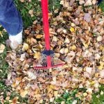 Guide to Using a Garden Rake: Essential Tips for a Perfect Yard