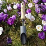 Guide to Using a Garden Trowel for Planting Bulbs: Expert Tips