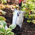 Guide to Using a Garden Trowel for Transplanting Bulbs: Expert Tips