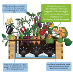 Guide to Watering Container Plants Evenly: Expert Tips for Success
