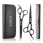 Hand Shears Buy Professional Online Kit for Precision Haircutting Experts
