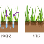 How to Aerate Compacted Soil Efficiently: Easy Steps for Healthier Lawns