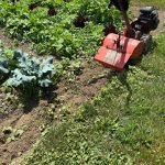 How to Maintain a Garden Cultivator: Essential Tips for Longevity