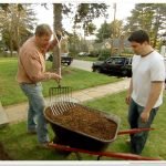 How to Mulch around Flower Beds Efficiently: Expert Tips Revealed
