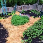 How to Mulch Flower Beds to Retain Moisture: Expert Tips