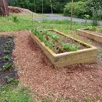 How to Mulch Vegetable Beds: Ultimate Guide for Thriving Gardens