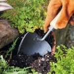 How to Plant Bulbs With a Hand Trowel: Easy Steps for Success