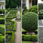 How to Prune Hedges in Geometric Shapes: Expert Tips & Tricks