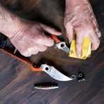 How to Sharpen Garden Knives for Clean Cuts: Easy Expert Tips