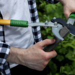 How to Sharpen Garden Shears: Easy Steps for a Razor-Sharp Cut