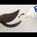 How to Sharpen Pruning Shears for Precision: Expert Tips