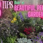 How to Transplant Flowers in Full Sun: Expert Tips for Success
