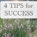 How to Transplant Flowers Successfully: Expert Tips for Thriving Blooms