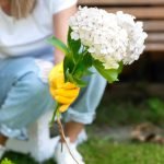 How to Transplant Flowers Without Shocking Them: Expert Tips