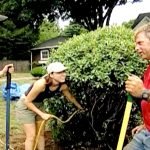 How to Transplant Shrubs Safely: Expert Tips for Thriving Plants