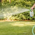 How to Use a Garden Sprayer for Fertilizer: Easy Steps for Lush Growth