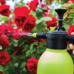 How to Use a Garden Sprayer for Pesticides: Expert Tips Revealed