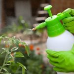 How to Use a Garden Sprayer Properly: Expert Tips for Success