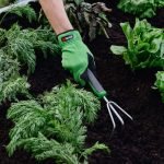 How to Use a Hand Cultivator: Easy Tips for Perfect Gardening