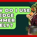 How to Use a Hedge Trimmer Safely: Essential Tips for Beginners