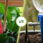 How to Water Plants Efficiently With a Can: Expert Tips Revealed