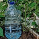 How to Water Plants Without Wasting Water: Smart Tips for Efficiency
