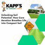 Tips for Aerating Compacted Clay Soil: Expert Techniques Revealed