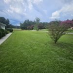 Tips for Aerating Heavy Clay Soil: Expert Methods That Work Fast