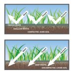 Tips for Aerating Heavy Soil: Essential Techniques for Success