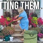 Tips for Transplanting Flowers With Minimal Stress: Expert Guide