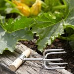 Tips for Using a Garden Hoe on Garden Beds: Expert Techniques Revealed