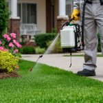 Tips for Using a Garden Sprayer for Pesticides: Essential Safety Tricks