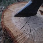 Guide to Cutting Wood With a Circular Saw: Expert Tips & Tricks