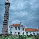 Guide to Watering Vegetable Gardens Effectively: Expert Tips