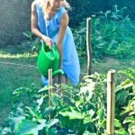 Guide to Watering Vegetable Gardens Efficiently: Maximize Growth