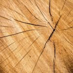 How to Align Wood for Cutting Curves: Expert Tips