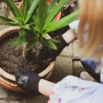 How to Mulch around Young Plants: Expert Tips