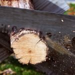How to Set Up a Wood Planer: Easy Steps for Perfect Results