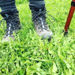 How to Use a Spade for Edging Lawns: Expert Tips for Perfect Edges
