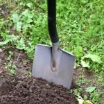 Tips for Maintaining a Garden Spade: Expert Advice